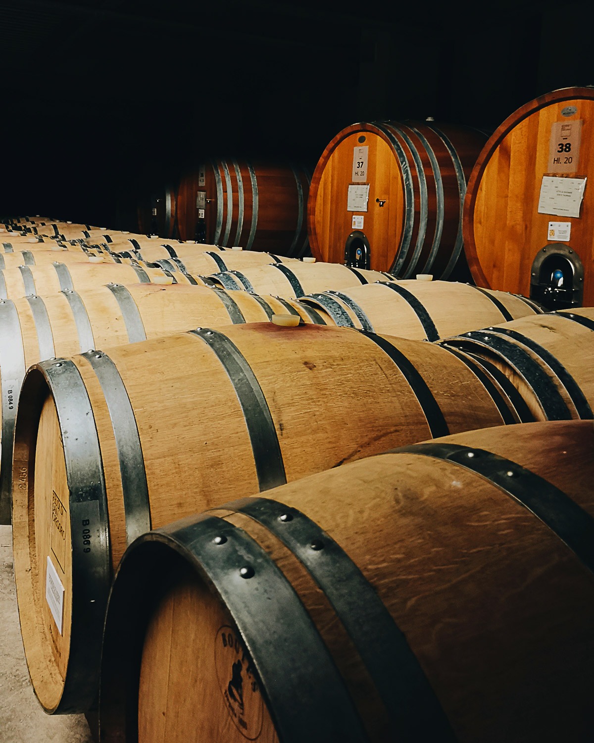 bottaia cantina feudi di san gregorio