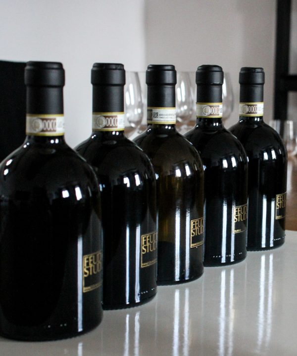 degustazione completa dei vini feudi studi