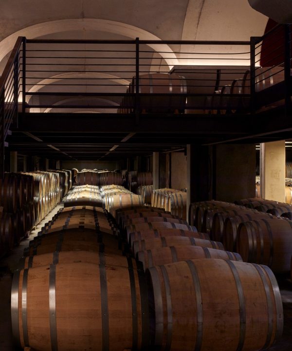 tour in bottaia feudi