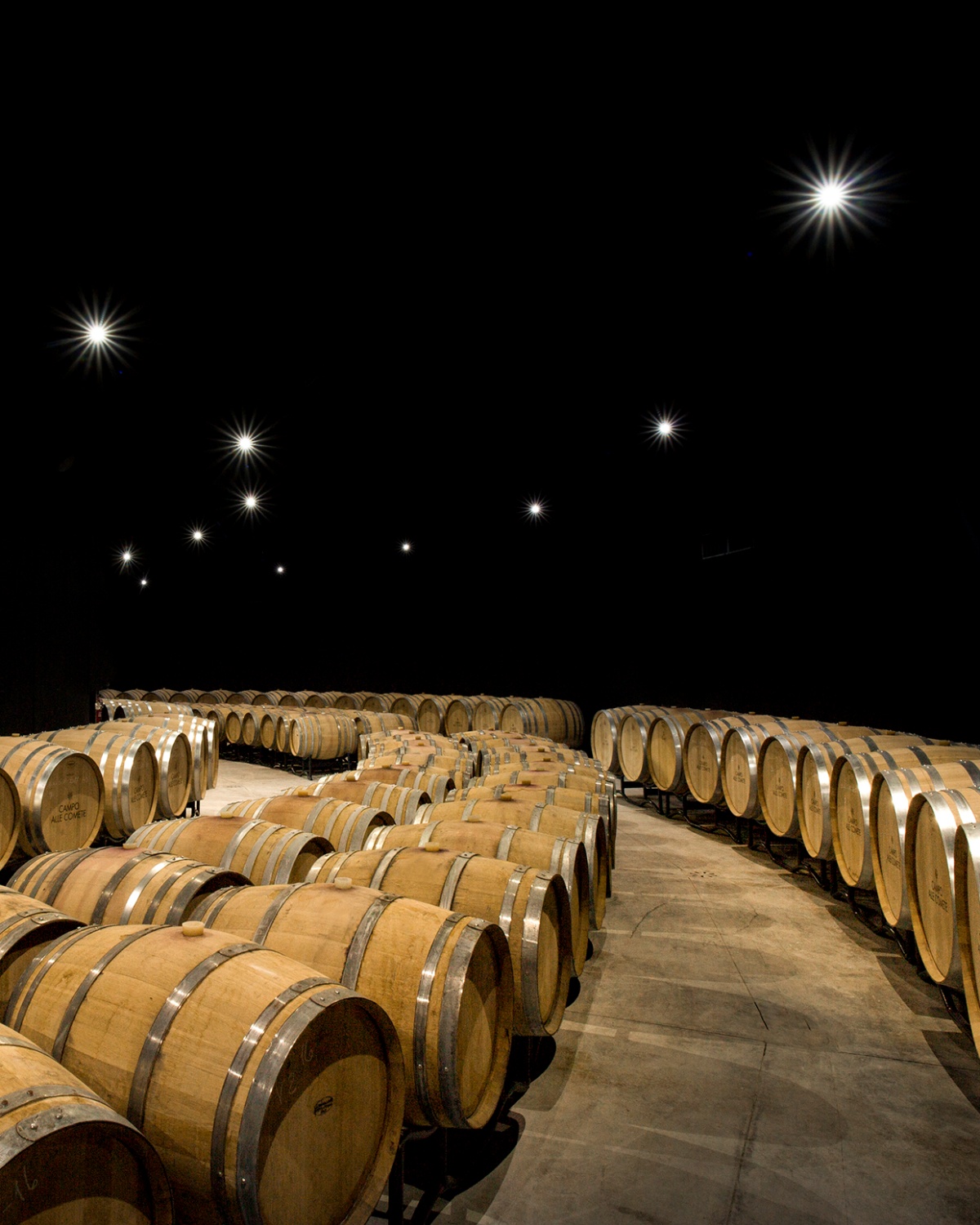 sala delle botti campo alle comete sala delle botti con cielo stellato campo alle comete bolgheri