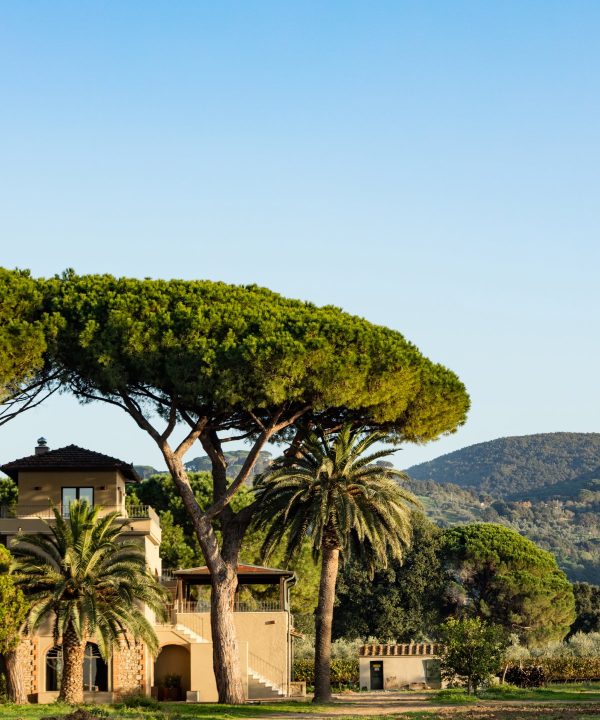 villa immersa nei vigneti campo alle comete