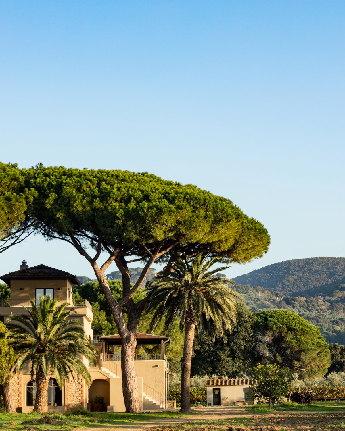 villa immersa nei vigneti campo alle comete bolgheri