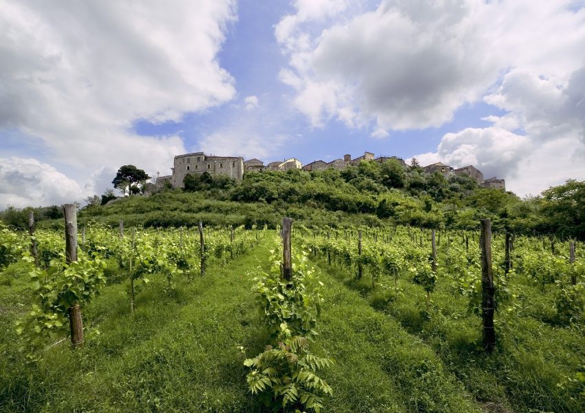 Aglianico_Taurasi Taurasi vigneti