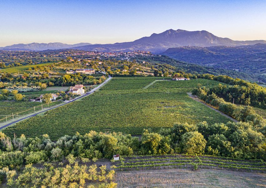 Piano di Montevergine (2) Vigneto Piano di Montevergine, Taurasi