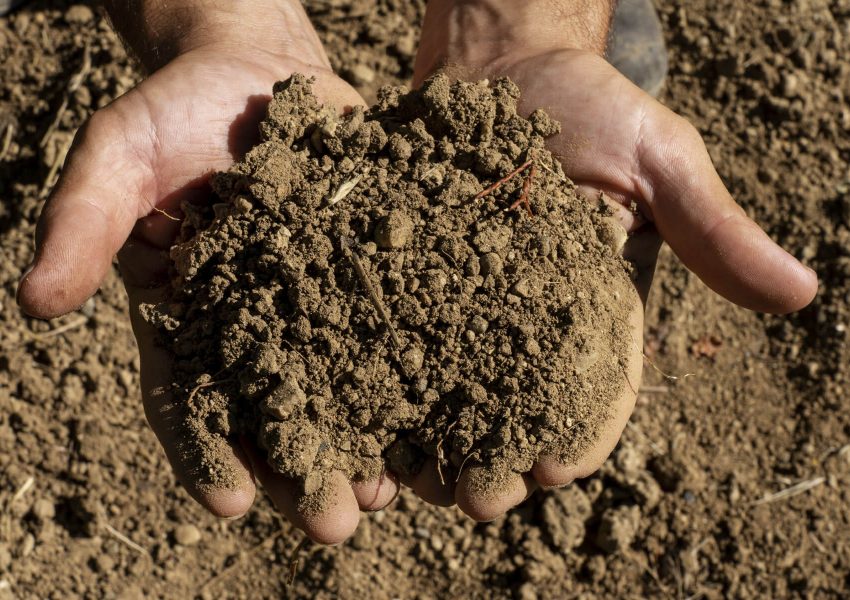 Torella dei Lombardi, di Pasquale Perillo 6 Suolo Aglianico