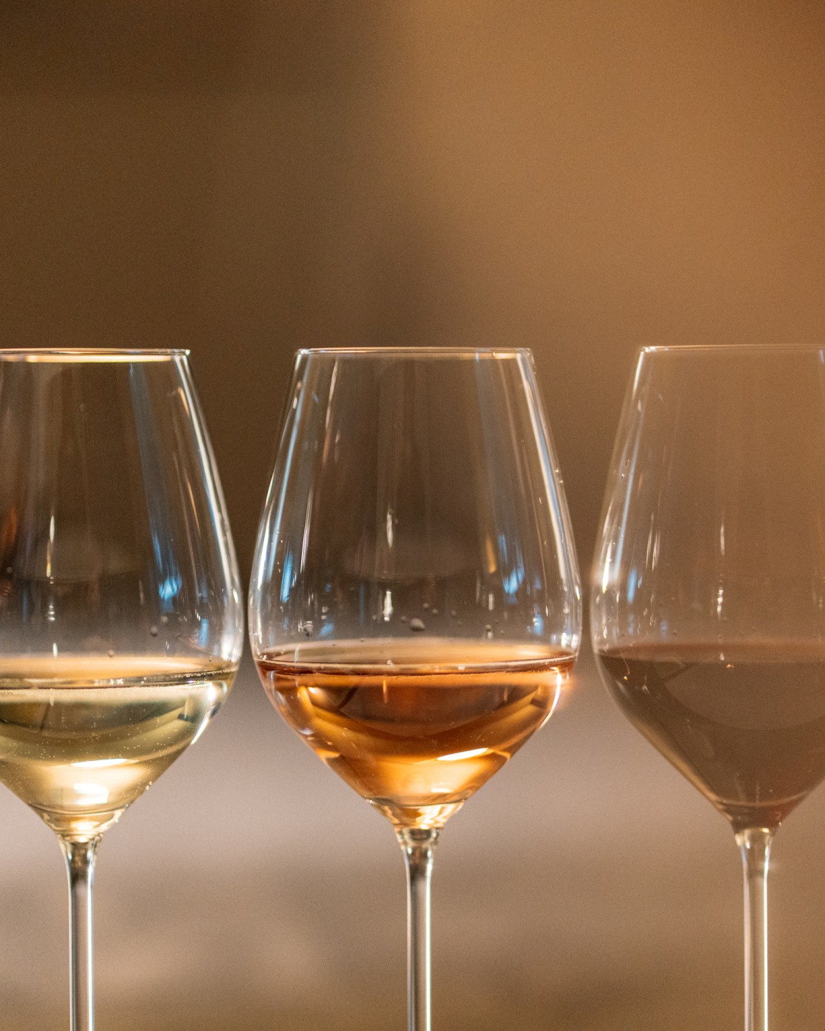 degustazione a tre calici feudi