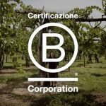 vigneti feudi con riconoscimento b corp