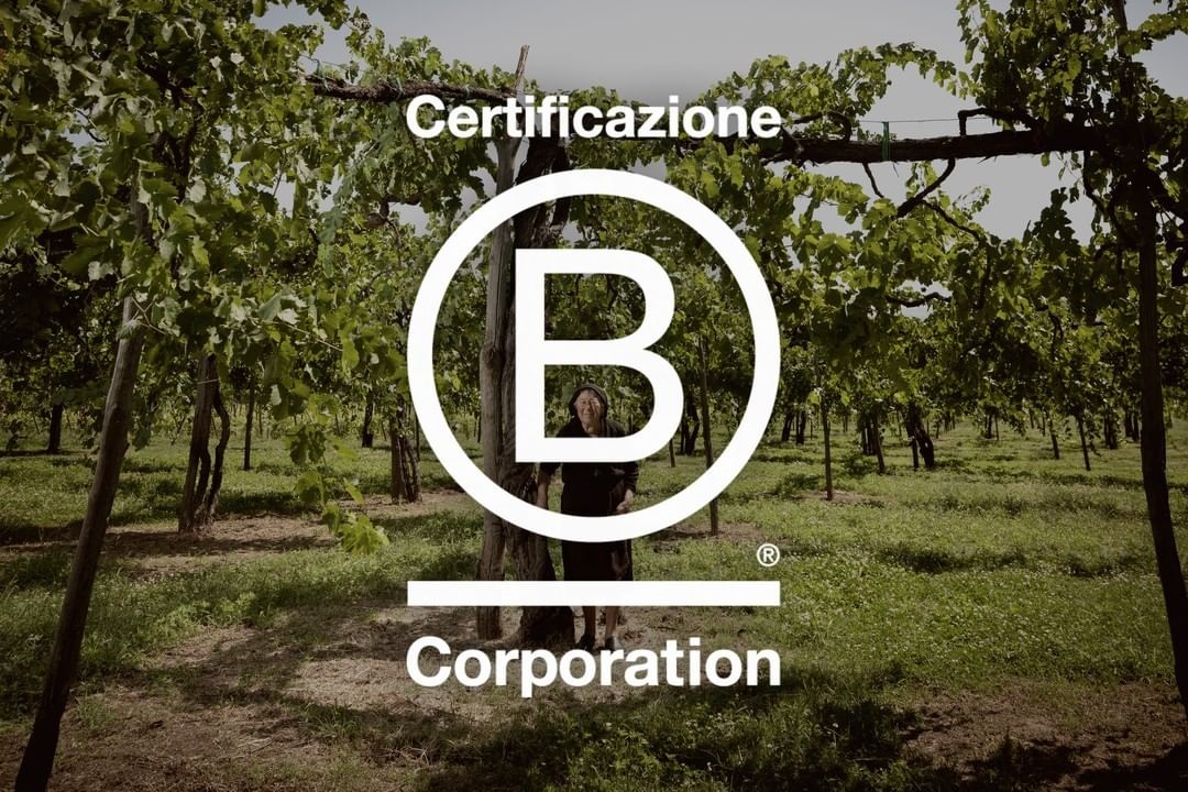 vigneti feudi con riconoscimento b corp