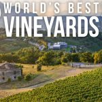 feudi top vineyards logo