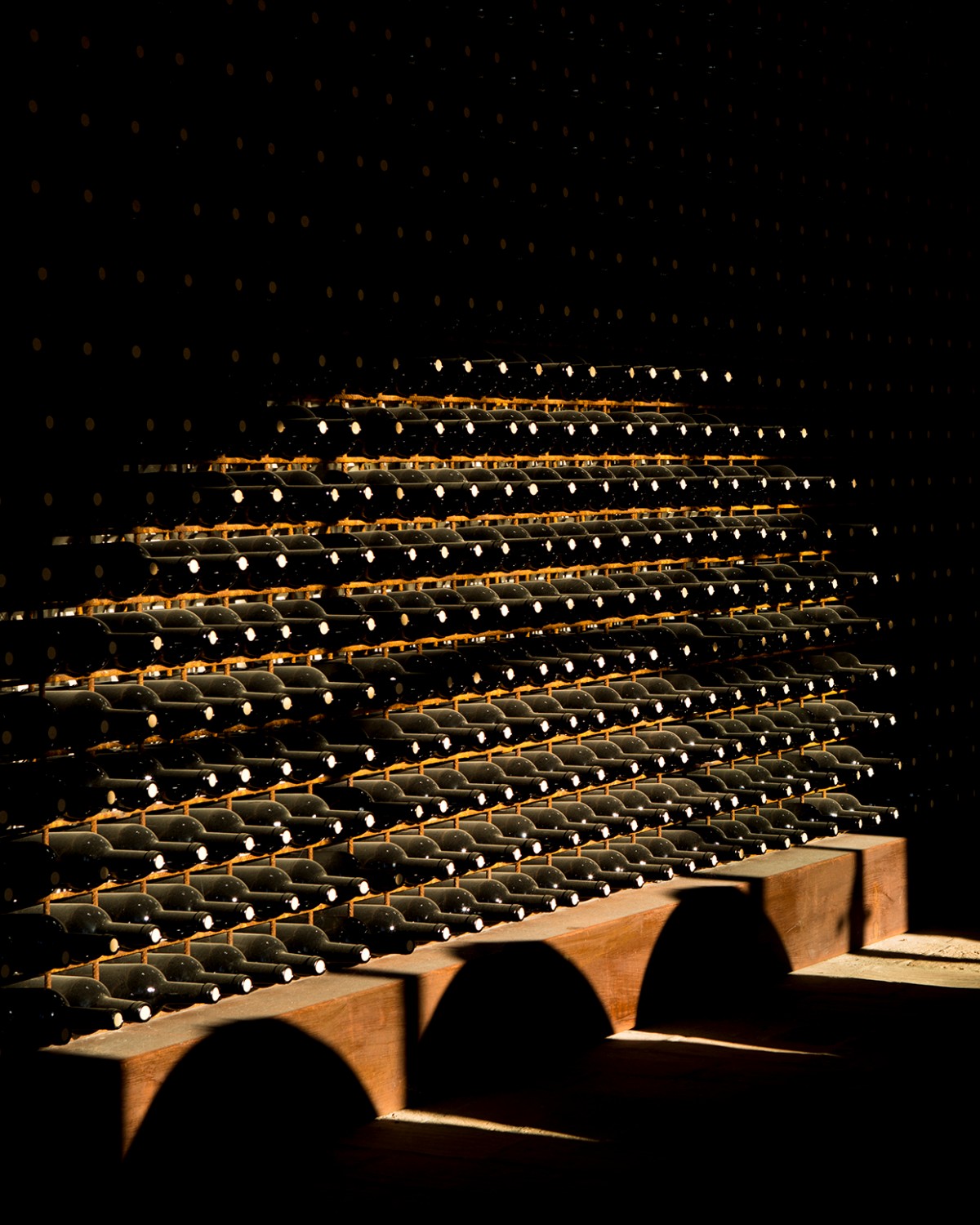 suggestivo scatto cantina campo alle comete