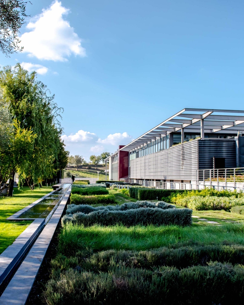 feudi cantina e giardino cantina e orto feudi san gregorio