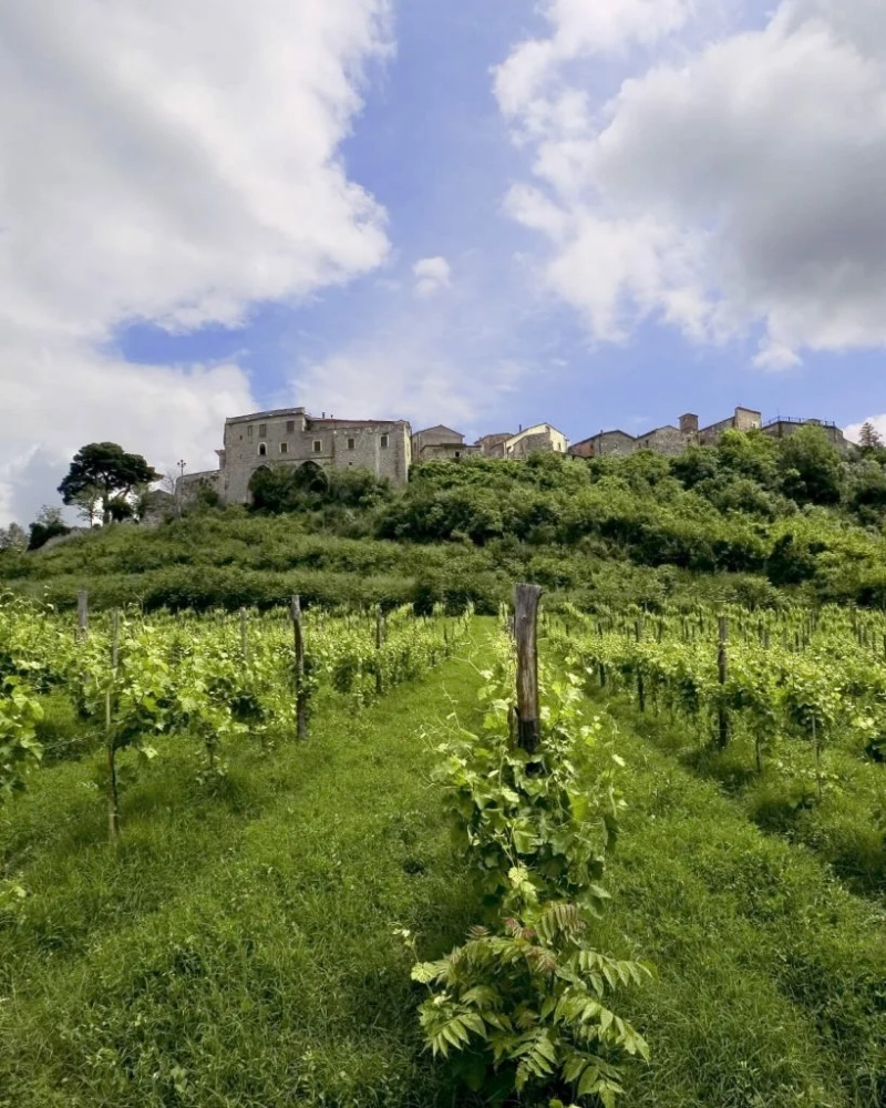 taurasi castello vigna taurasi vigna e castello