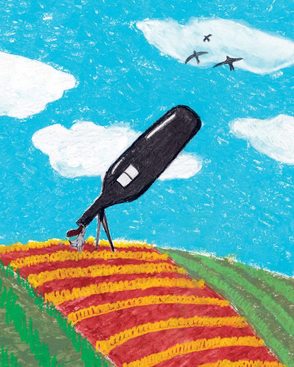 Feudi di San Gregorio_40 ANNI_Illustrazione telescopio