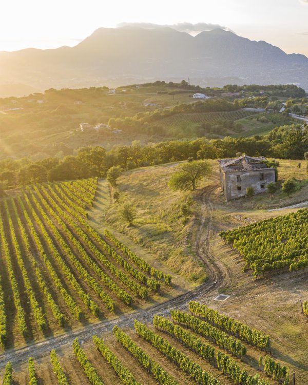 Borgo San Gregorio, wine resort nel cuore della Campania immerso nella natura dell’Irpinia