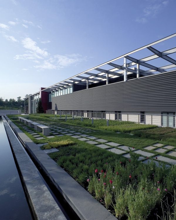 Cantina d’autore Feudi di San Gregorio progettata da Hikaru Mori