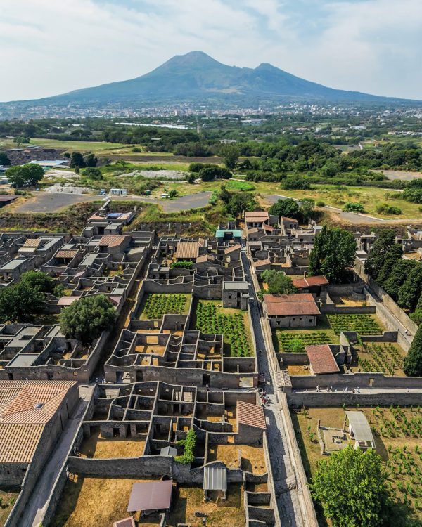 Vista aerea della vigna archeologica all'interno del Parco Archeologico di Pompei